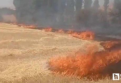 Beypazarı'nda jandarma anız yangını uyarısında bulundu