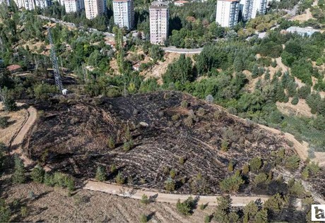 Çankaya Çiğdem Mahallesi'ndeki çalılık alanda çıkan yangın kısa sürede söndürüldü