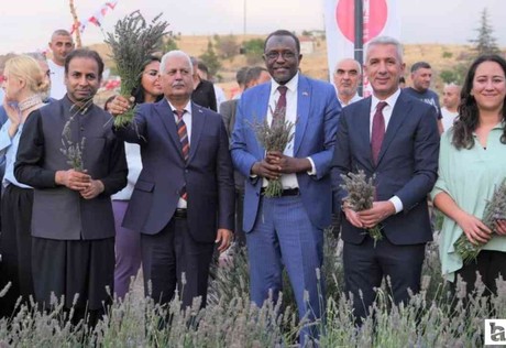 Keçiören Belediyesi'nin düzenlediği lavanta festivaline katılım yoğun oldu