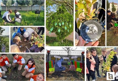 81 ilde fidan dikim etkinliği düzenlendi