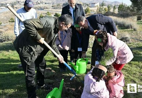 Altındağ Belediyesi'nden 11 Kasım Milli Ağaçlandırma Günü’ne destek!