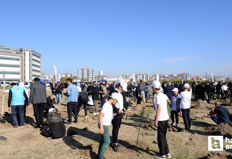 Kahramankazan Belediyesi, fidan dikme etkinliği gerçekleştirdi