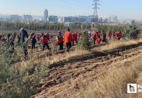 Ankara'da Akut Şehitleri anısına 3 hatıra ormanı