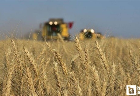 Tarım ÜFE verileri ekim ayında artış gösterdi