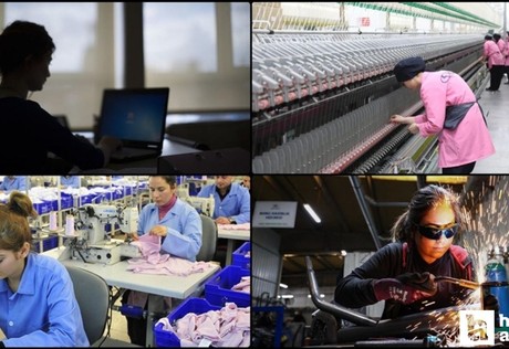 KİT'lerde istidam edilen personellerin yüzde 12'sinin kadın olduğu açıklandı