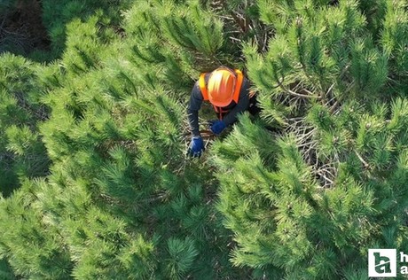 OGM bünyesine 496 sözleşmeli personel alımı yapılacak!
