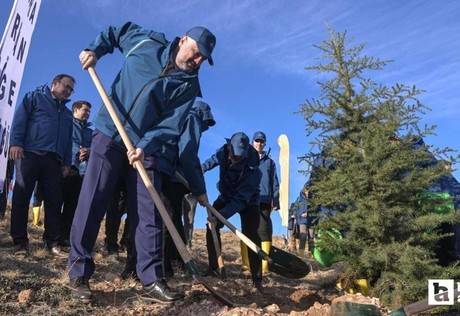 Bala'da PTT 185. Kuruluş Yıl Dönümü Hatıra Ormanı için fidanlar dikildi