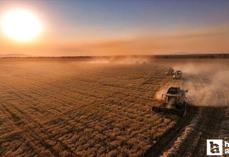 Çiftçilere 330 milyon TL'den fazla tarımsal destek ödemesi yatırılacak