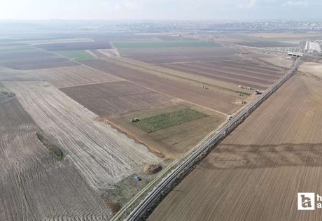 Polatlı'da şeker pancarı hasadı tüm hızıyla devam ediyor
