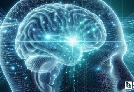 İnsan beyninin 5 gelişim evresinden geçtiği tespit edildi