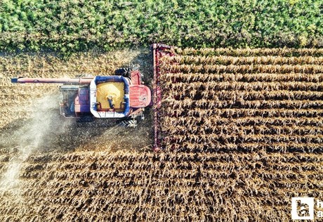 Başkentte yağışlar tarımsal faaliyetler için beklentiyi karşıladı