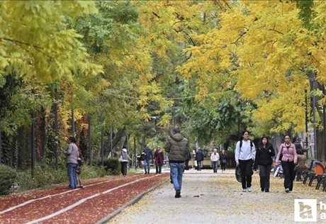 İç Anadolu'da bu kış sıcaklıklar mevsim normalleri üzerinde seyredecek