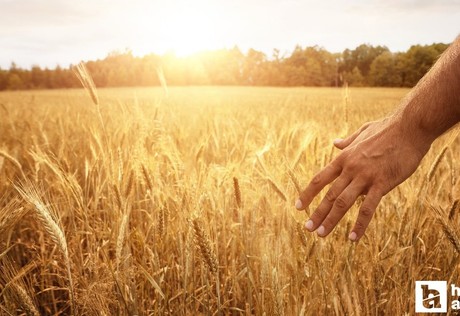 Kahramankazan Belediyesi'nden çiftçilere eğitim programı!