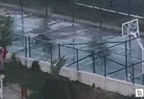 Etimesgut’ta iki kardeşe saldıran köpeğin görüntüleri şok etti