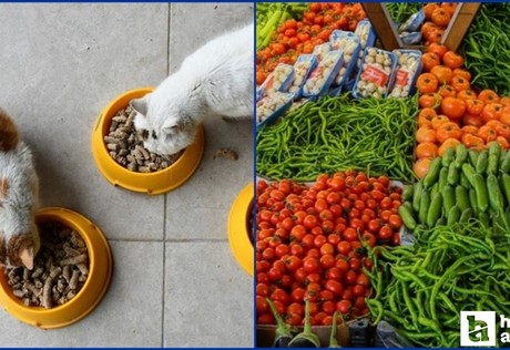 Kasım ayında fiyatı en çok artan ve azalan ürünler açıklandı!