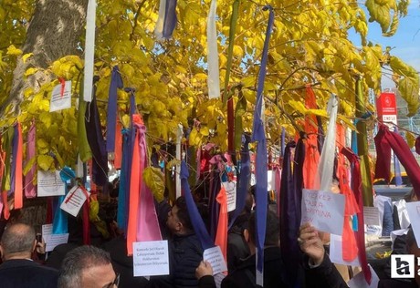 Memurlar Çalışma Bakanlığı'nın önündeki ağacı dilek ağacına çevirdiler