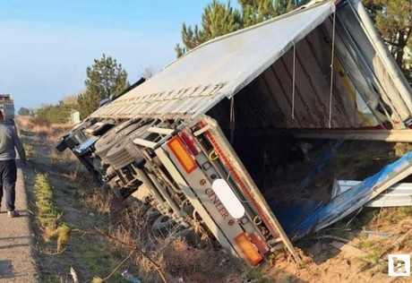 Ankara'ya gelen tır  Kırıkkale'de devrildi: 5 büyükbaş hayvan telef oldu