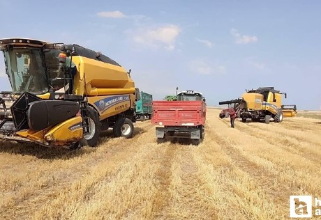 Çiftçilere tarımsal destekleme ödemesi bugün hesaplara yatırılacak