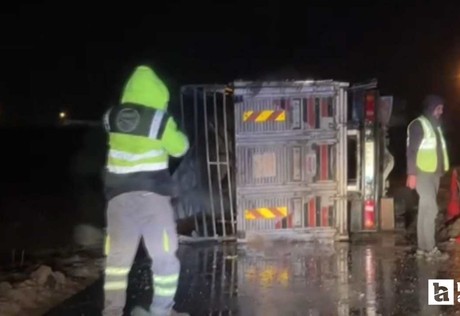 Polatlı'da devrilen kamyonda küçükbaş hayvanlar telef oldu