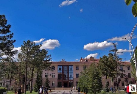 Çankırı OSB'de gıda zehirlenmesi: 736 kişi hastaneye başvurdu!