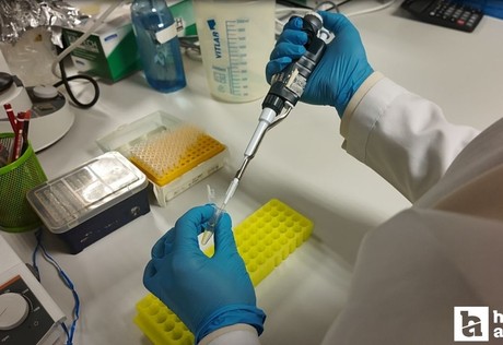 KKKA hastalığı için geliştirilen aşıda kritik gelişme!