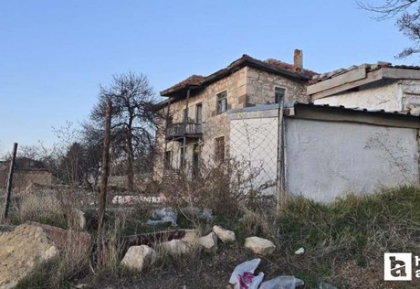 Haymana'da köpek çocuklara saldırdı: 14 yaşındaki çocuk ağır yaralandı