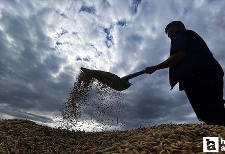 Tarımsal destekleme ödemesi çiftçilerin hesaplarına yatırılıyor!