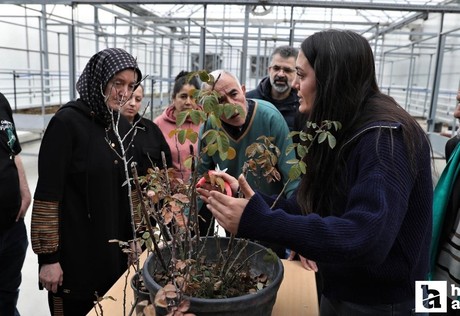 Keçiören Belediyesinden çiftçiler için uygulamalı tarımsal eğitim!