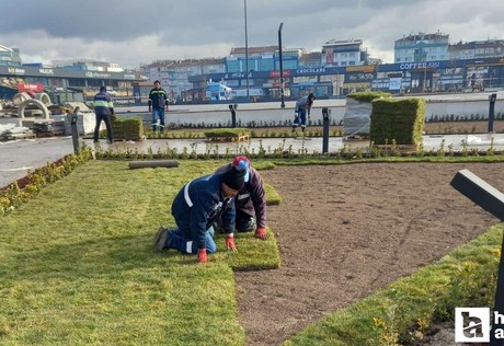 Sincan'da ekipler kuru peyzaj çalışmalarına devam ediyor!