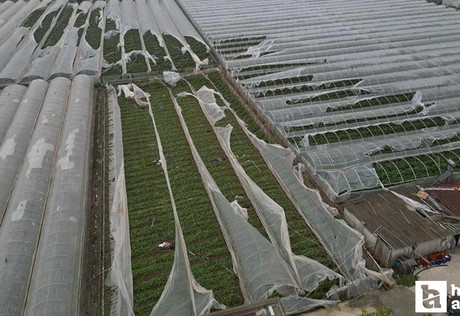 Bakan Yumaklı: 'Antalya'da eksperlerimiz sahada hasar tespit çalışmalarına devam etmektedir'