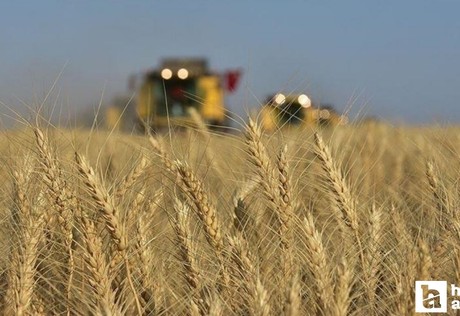 TMO, stoklanan yem ham maddesini satışa sunulacak