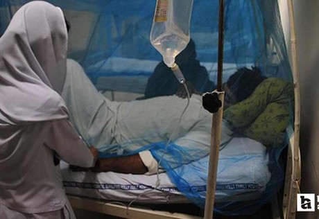 Hindistan'da Nipah virüsü için alarm verilip kapsamlı önlemler alındı