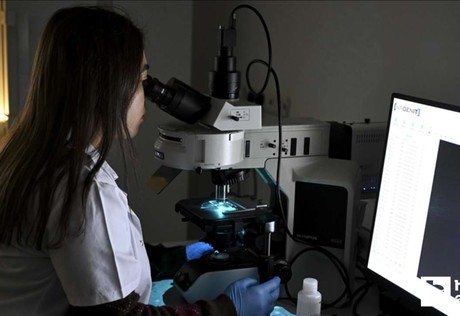 Gazi Üniversitesi'nden Türkiye'nin ilk gen tedavisi araştırma ürünü