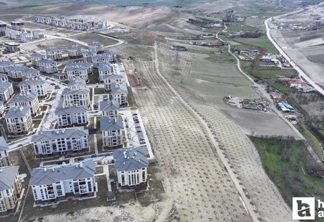 Sincan Belediyesi Saraycık Mahallesi'nde ağaçlandırma çalışması yapacak