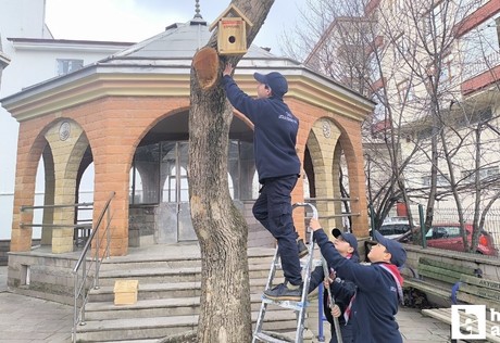 Akyurt'ta beslenme ve barınma sorunu yaşayan kuşlar için harekete geçildi