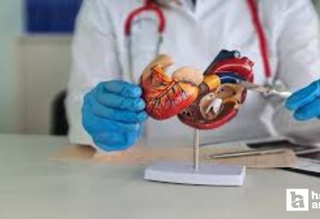 Damar Cerrahisi'nde Gri Alanlar toplantısı Başkent'te düzenlendi