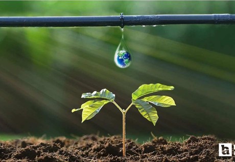 Ankara Büyükşehir Belediyesi'nden üreticilere yüzde 50 hibeli destek