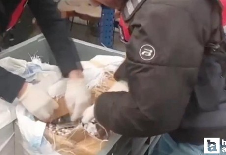 Sosyal medya üzerinden yasaklı madde satışı yapanlara operasyon: 99 tutuklama