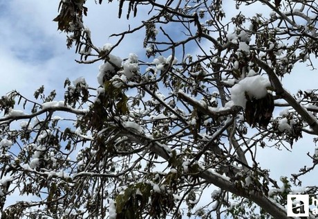 Çorum için zirai don uyarısı geldi!