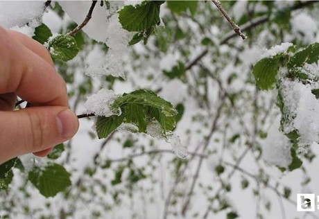 Çiftçilere üst üste zirai don uyarıları yapılıyor