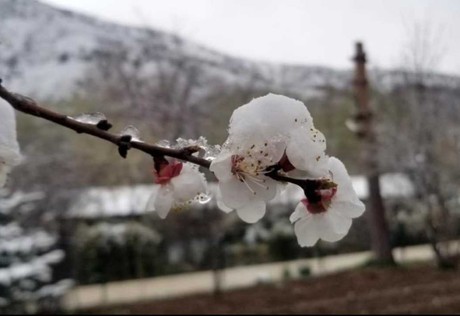 Nisan kışı aratmadı, Çamlıdere gece -10 dereceyi gördü!