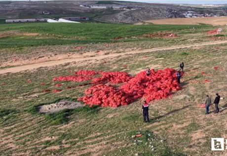 Ticaret Bakanlığı, Polatlı’da boş araziye dökülen soğanlar için harekete geçti