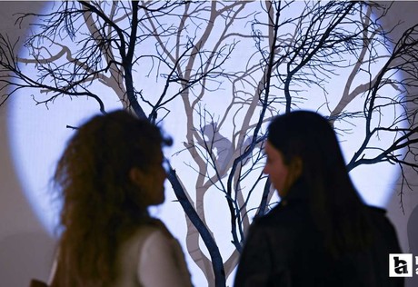 "Can Kaybı Yok" başlıklı sergi Ankara'da sanatseverlerle buluştu