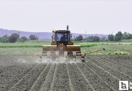 12.8 milyar TL'lik tarımsal destekleme ödemesi bugün yapılacak