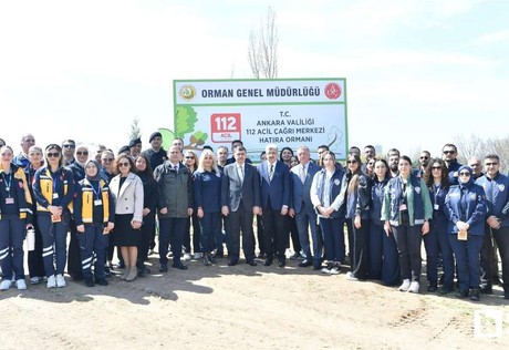 Vali Vasip Şahin, fidan dikip "daha yeşil bir Ankara" mesajı verdi