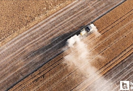 İç Anadolu'da tarım sezonunun ilk yarısında yağışlar arttı