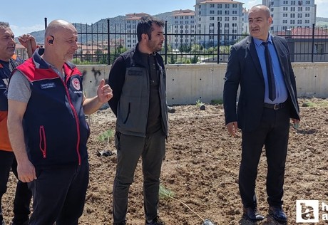 Kırıkkale'de 150 fidan toprak ile buluşturuldu