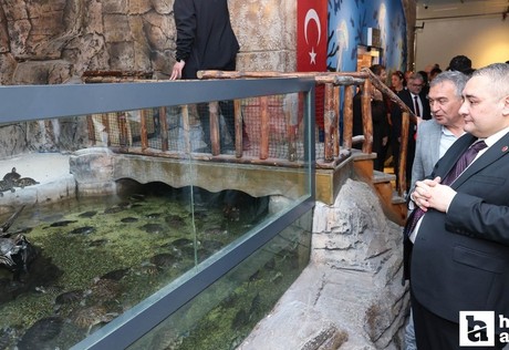 Keçiören'de Deniz Dünyası yenilendi: Ziyaretçilerini bekliyor