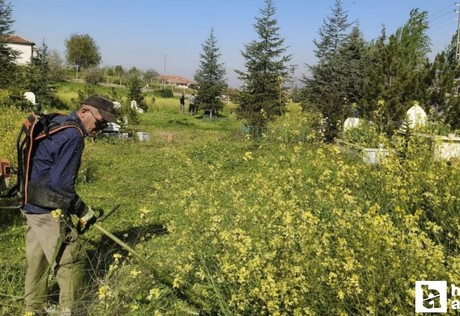 Kırıkkale Belediyesi mezarlıklarda bakım çalışması yapıyor