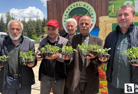 Pursaklar'da 5'nci geleneksel ata tohum sebze fidesi dağıtım etkinliği düzenlendi!